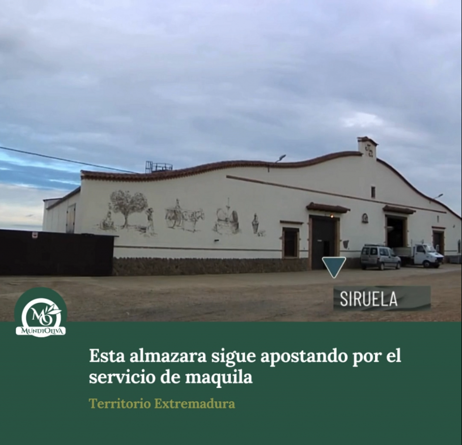 Entrevista Territorio Extremadura. Esta almazara sigue apostando por el servicio y tradición de la maquila