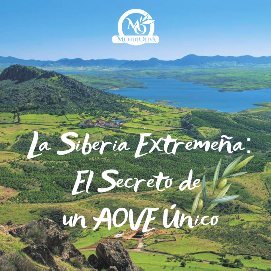 AOVE La Siberia Extremeña: El Secreto de un AOVE Único